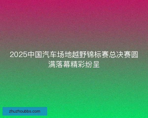 2025中国汽车场地越野锦标赛总决赛圆满落幕精彩纷呈