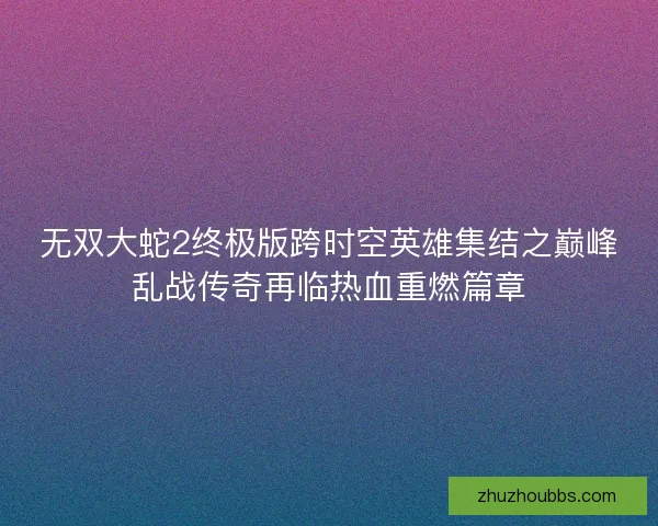 无双大蛇2终极版跨时空英雄集结之巅峰乱战传奇再临热血重燃篇章 无双大蛇2终极版跨时空英雄集结之巅峰乱战传奇再临热血重燃篇章